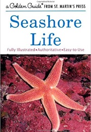Seashore Life (Lester Ingle)