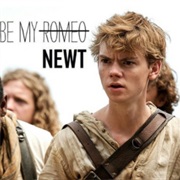 Newt From the Maze Runner