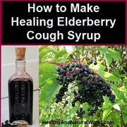 Elderberry for Colds & Fever