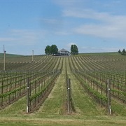 Walla Walla East, Washington