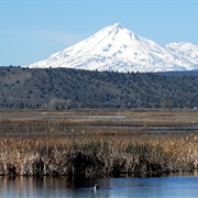 Lower Klamath National Wildlife Refuge