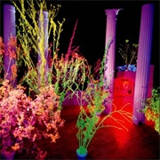 Husker Du - Warehouse: Songs and Stories