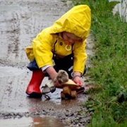 How Many Earthworms Do You Count?