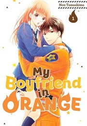 Moekare Wa Orenji-Iro (TAMASHIMA Non)