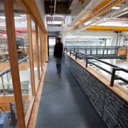 Sherling High-Level Walkway