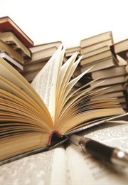 Calvin and Hobbs (Bill Waterson)