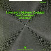 The Flys Molotov Cocktail