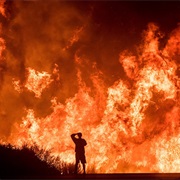 California Wildfires