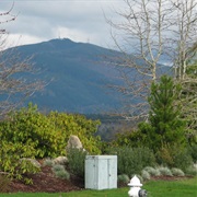 Maple Heights-Lake Desire, Washington