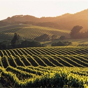 Napa Valley