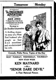 The Passionate Adventure (1924)