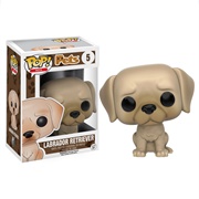 Labrador Retriever Gold