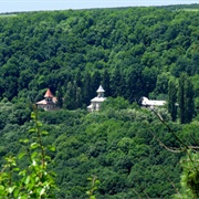 Rudi-Arionești Landscape Reserve
