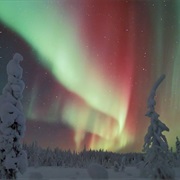 Northern Lights