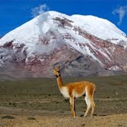 Mount Chimborazo, Ecuador