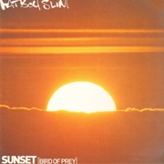 Sunset (Bird of Prey) - Fatboy Slim