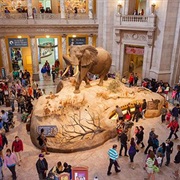 Explore a National Museum