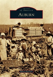 Auburn (Hilary Pittenger)