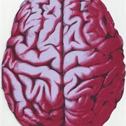 Maeror Tri - Language of Flames and Sound