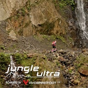 The Jungle Ultra