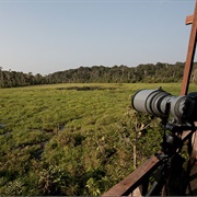 Nouabal-Ndoki National Park