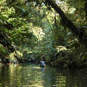 Parque Nacional Tortuguero