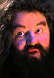 Your a Wizard-HPATSS (2001)