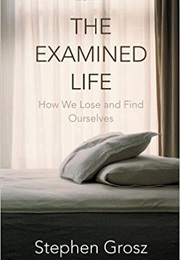 The Examined Life (Stephen Grosz)