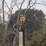 Avon Park Air Force Range