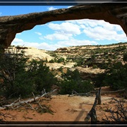 Natural Bridges National Monument