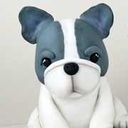 Freddie the French Bulldog Cake