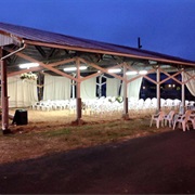 Pacific County Fair (Menlo, Washington)