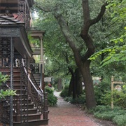 Walk Jones Street in Savannah, GA