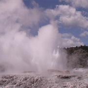 Geyser, Rotarua, New Zealand