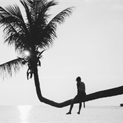 Singles Awareness Day (February 13)