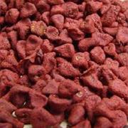 Annatto Seeds