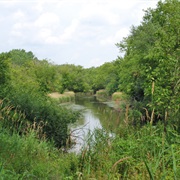 Winfield Mounds County Forest Preserve