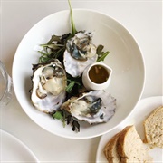 Dutch Oysters