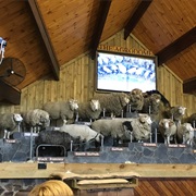 Agrodome, New Zealand