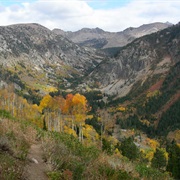 Caribou-Targhee National Forest