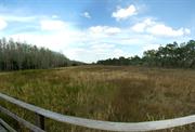 Corkscrew Swamp Sanctuary (Florida)