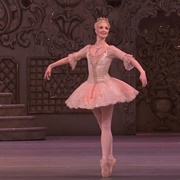 Dance of the Sugar Plum Fairy