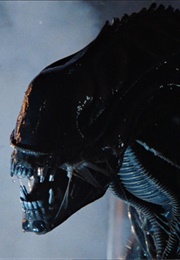 Xenomorph - Alien (1979)