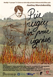 Prie Rugių Ir Prie Ugnies (2010)