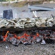 Nevør Shellfish Farm, OR