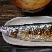 Saury