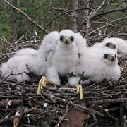 Paklenica National Park, Croatia