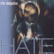 The Delgados - Hate