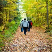 An Hour's Walk in the Countryside