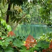 Lake Barrine National Park (QLD)
